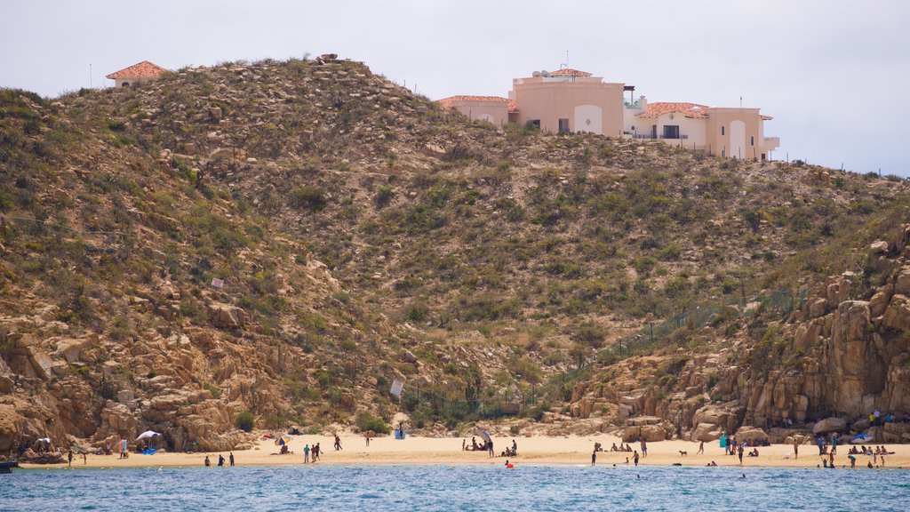 Playa de Cannery que inclui paisagens litorâneas