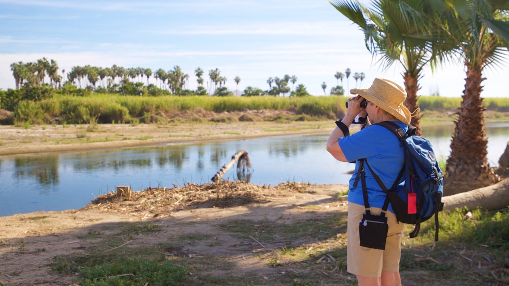 San Jose\'s Estuary and Bird Sanctuary ofreciendo un río o arroyo y también un hombre