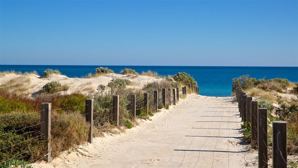 West Beach mostrando paisagens litorâneas e uma praia de areia