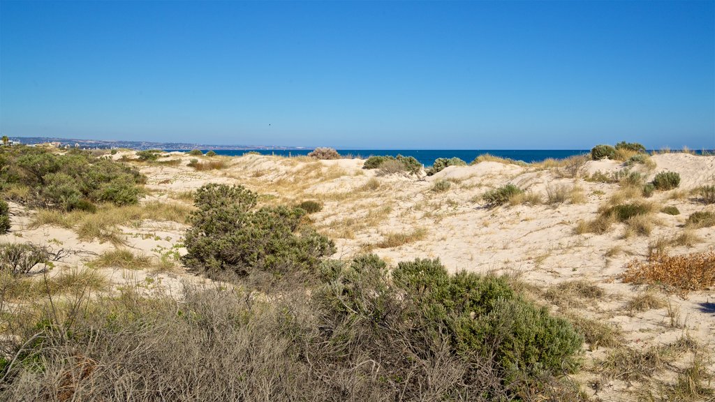 West Beach which includes a sandy beach and general coastal views