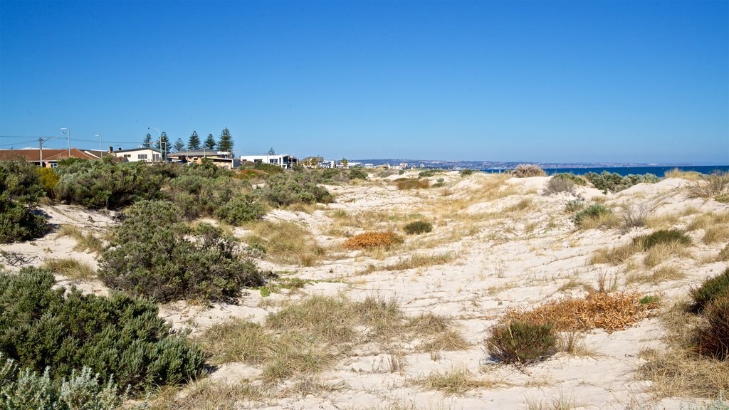 West Beach showing a sandy beach