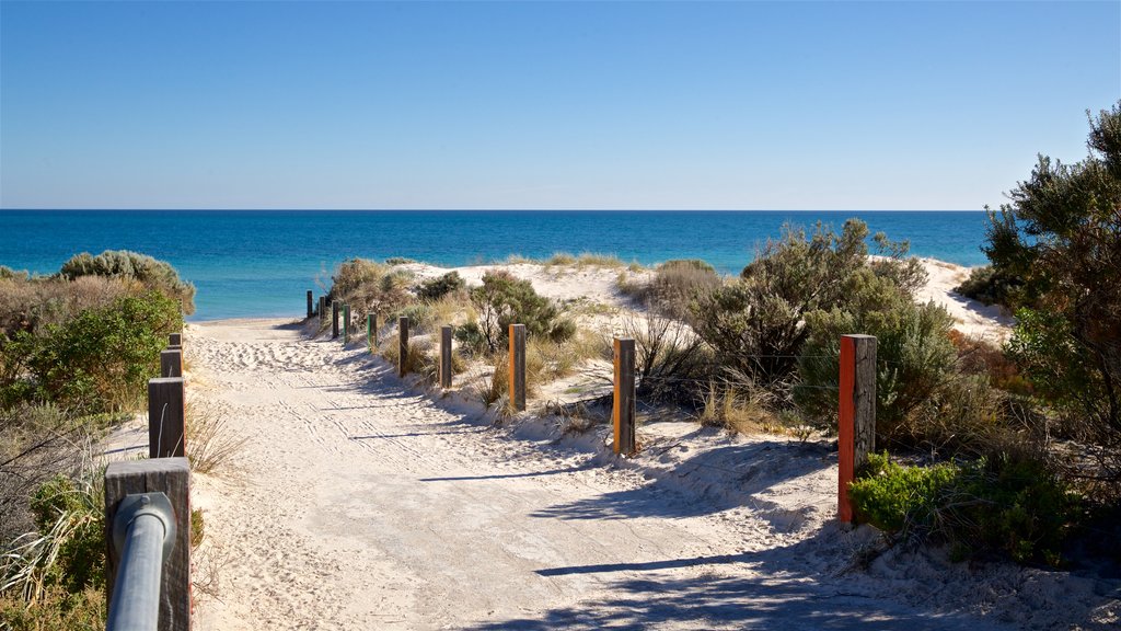 West Beach which includes a sandy beach and general coastal views