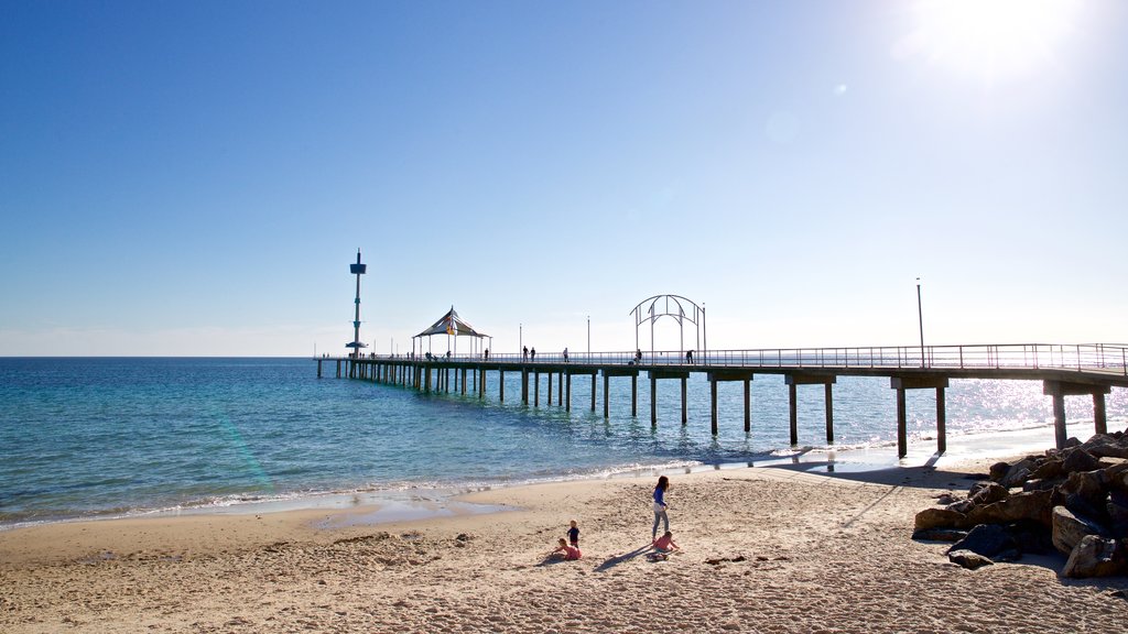 Brighton Beach showing general coastal views and a beach