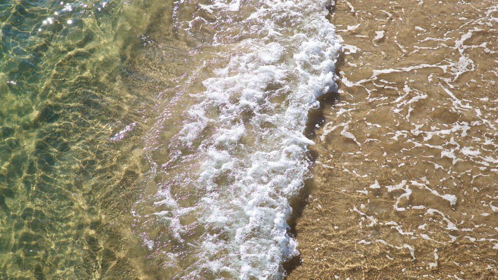 Brighton Beach which includes general coastal views and a beach