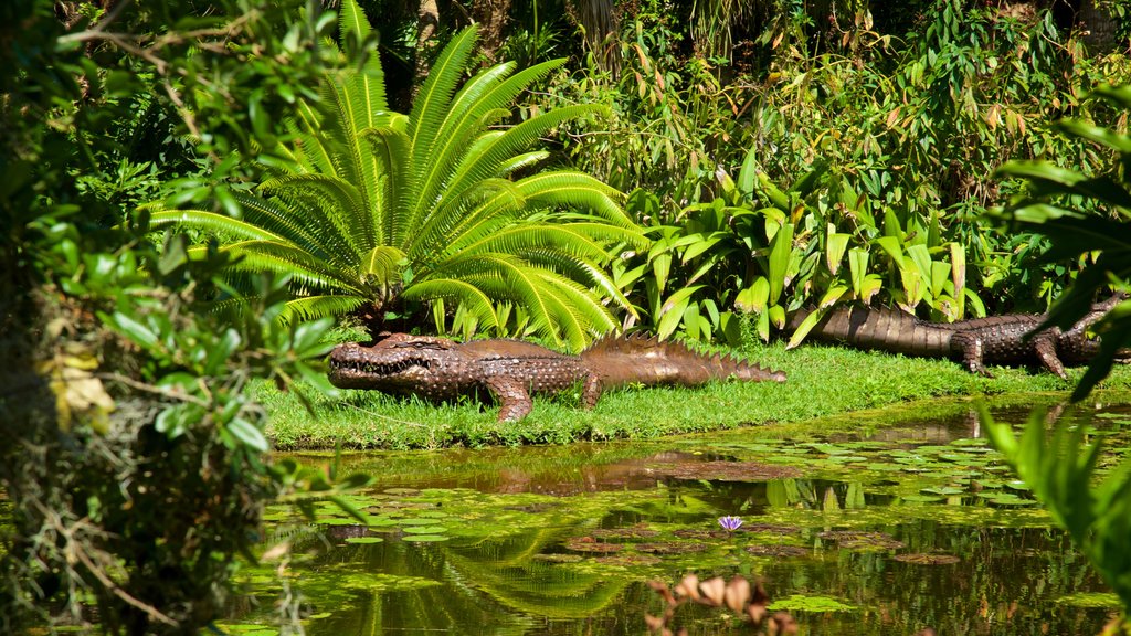 McKee Botanical Garden que inclui arte ao ar livre e um lago