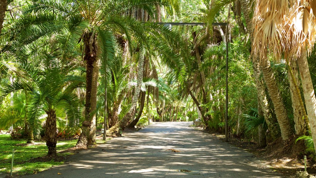 Botanical Gardens which includes a garden