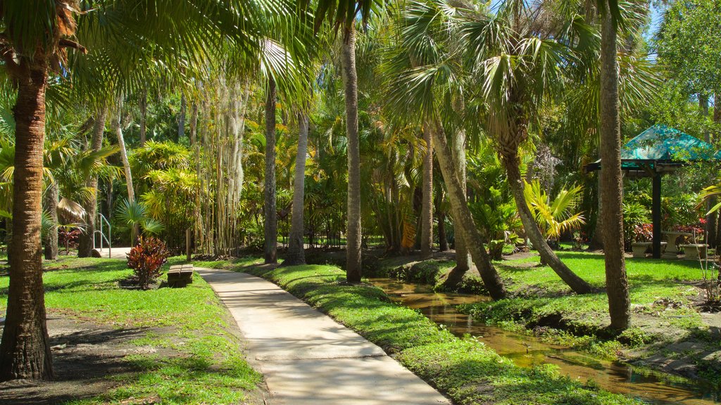 Botanical Gardens toont een park