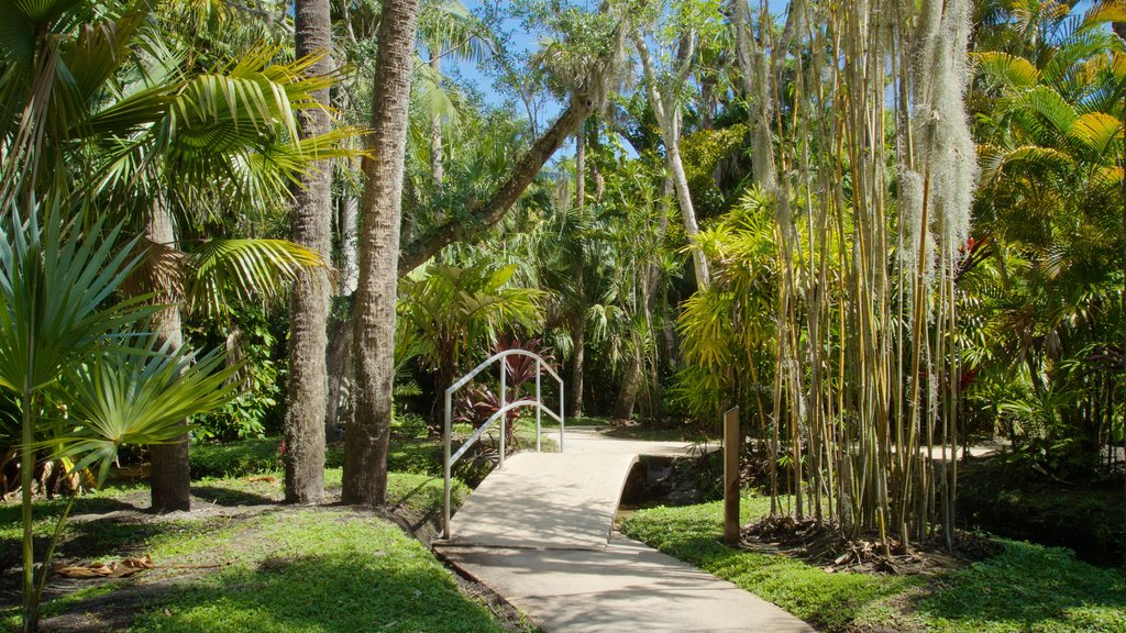 Botanical Gardens ofreciendo jardín