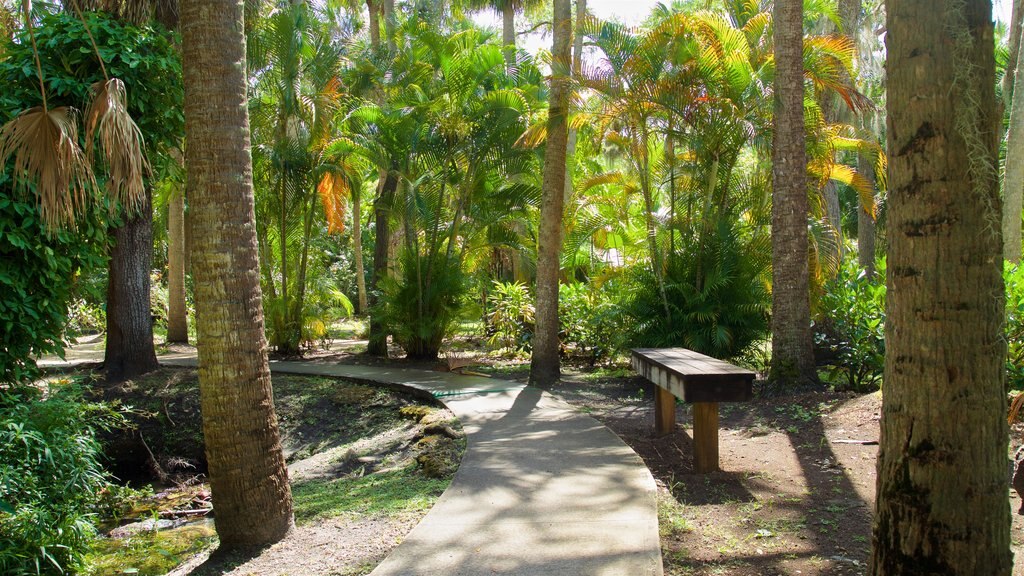 Botanical Gardens featuring a garden