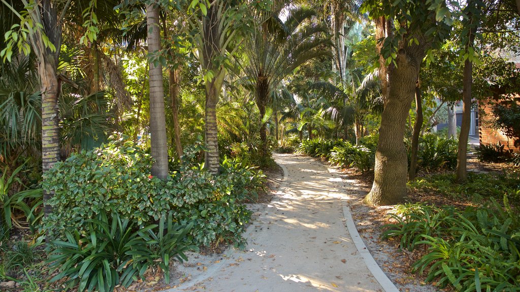 Supreme Court Gardens showing a garden