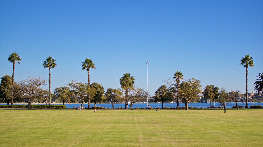 Langley Park showing a garden