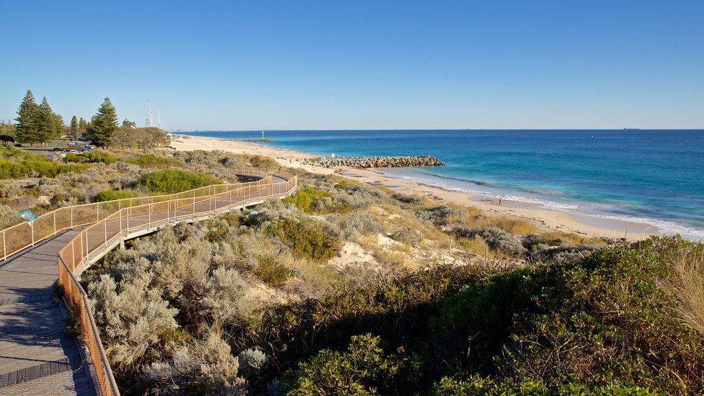 City Beach bevat algemene kustgezichten en landschappen