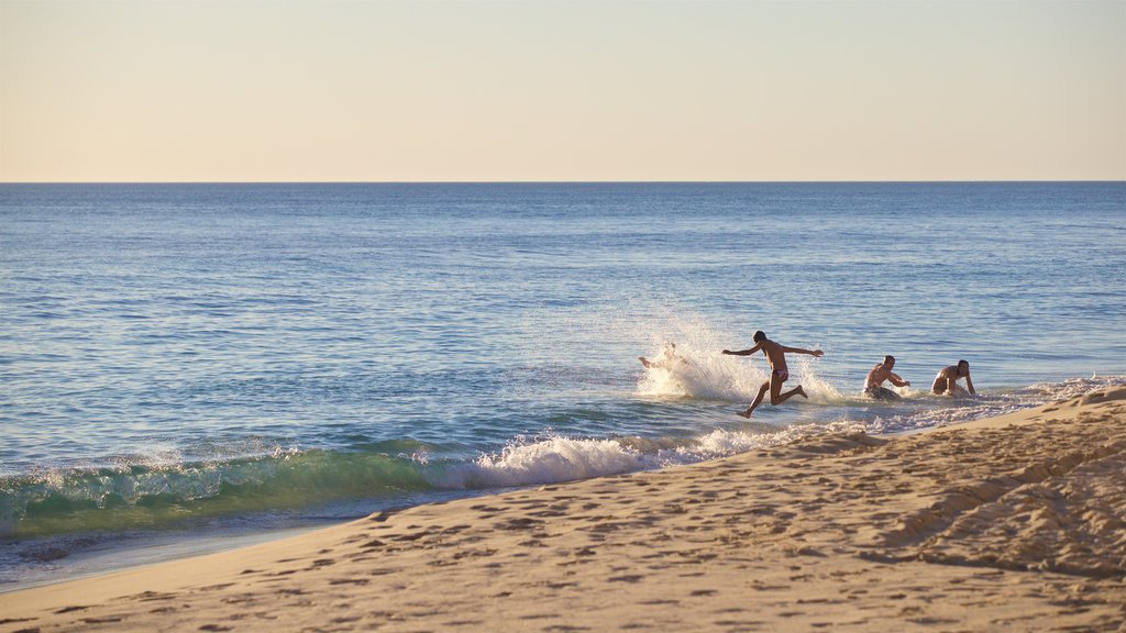 Cottesloe Beach que incluye una playa de arena, natación y un atardecer