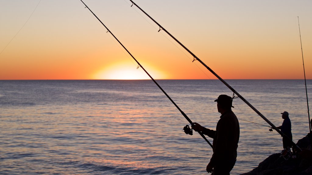 Cottesloe Beach bevat een zonsondergang, algemene kustgezichten en vissen