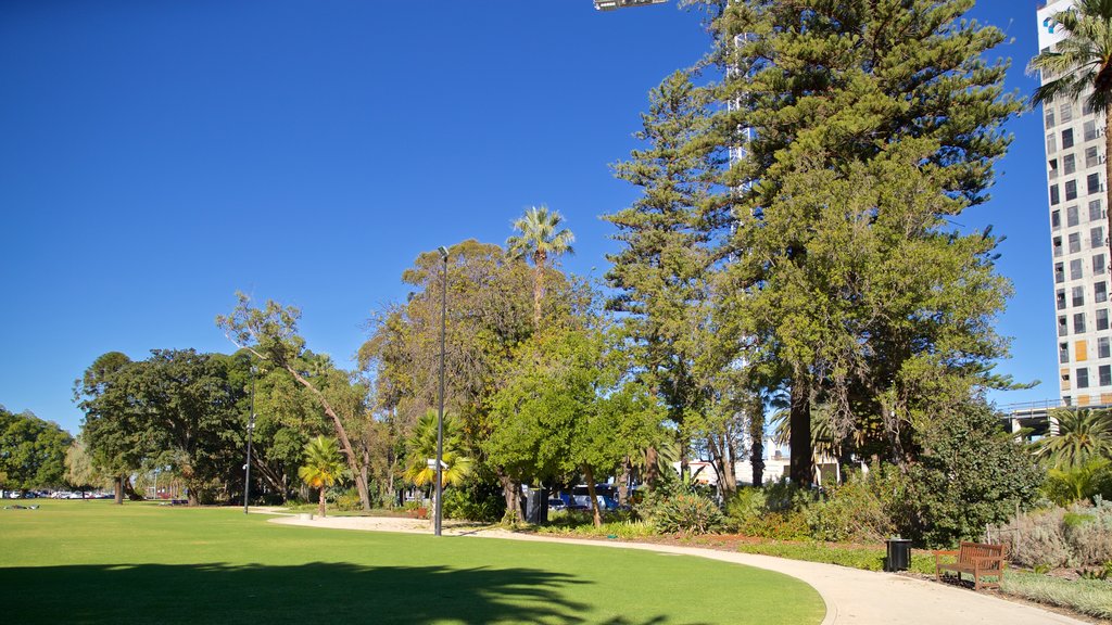 Supreme Court Gardens showing a garden