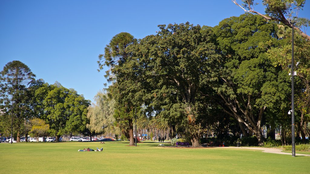 Supreme Court Gardens mostrando um jardim