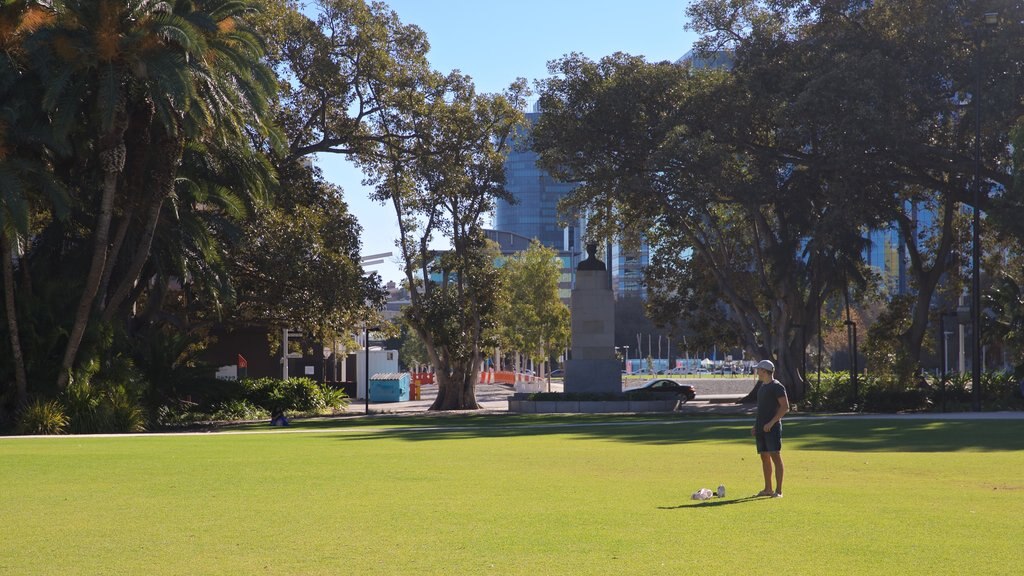 Supreme Court Gardens showing a garden as well as an individual male