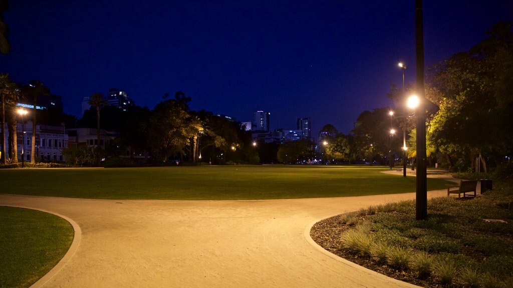 Supreme Court Gardens showing night scenes and a park