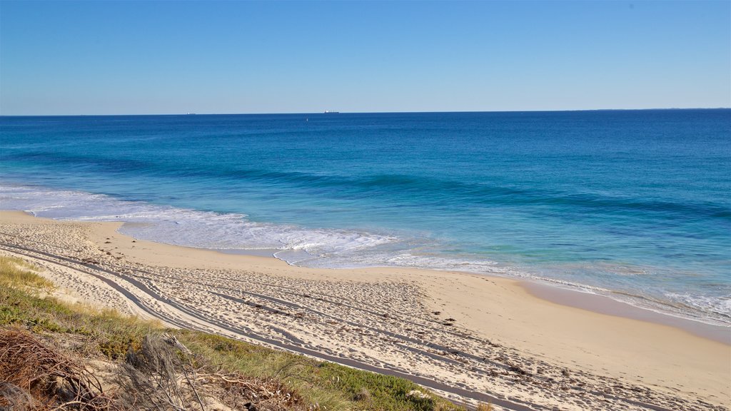 Floreat Beach which includes landscape views, a sandy beach and general coastal views