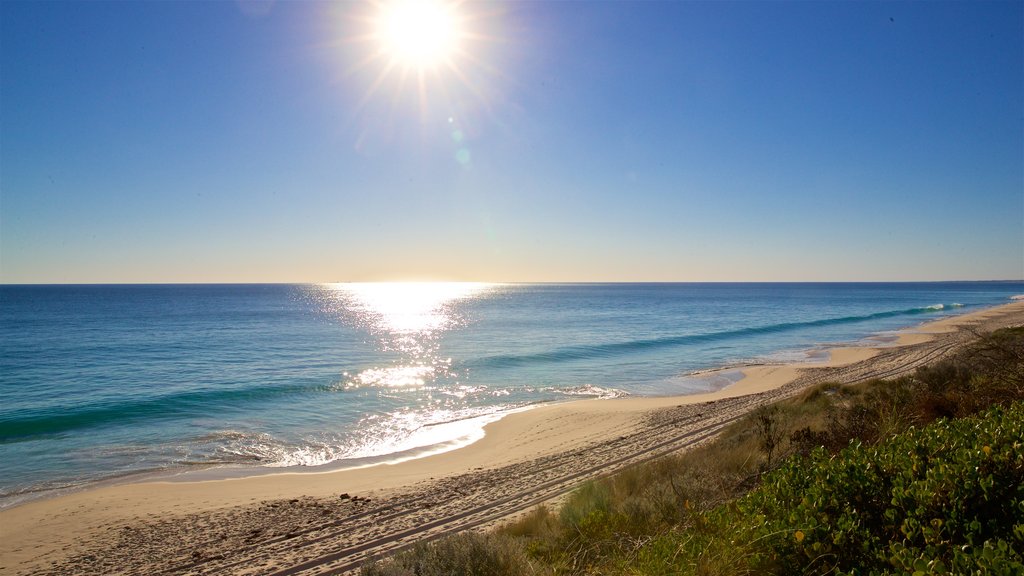 Floreat Beach showing general coastal views, landscape views and a beach