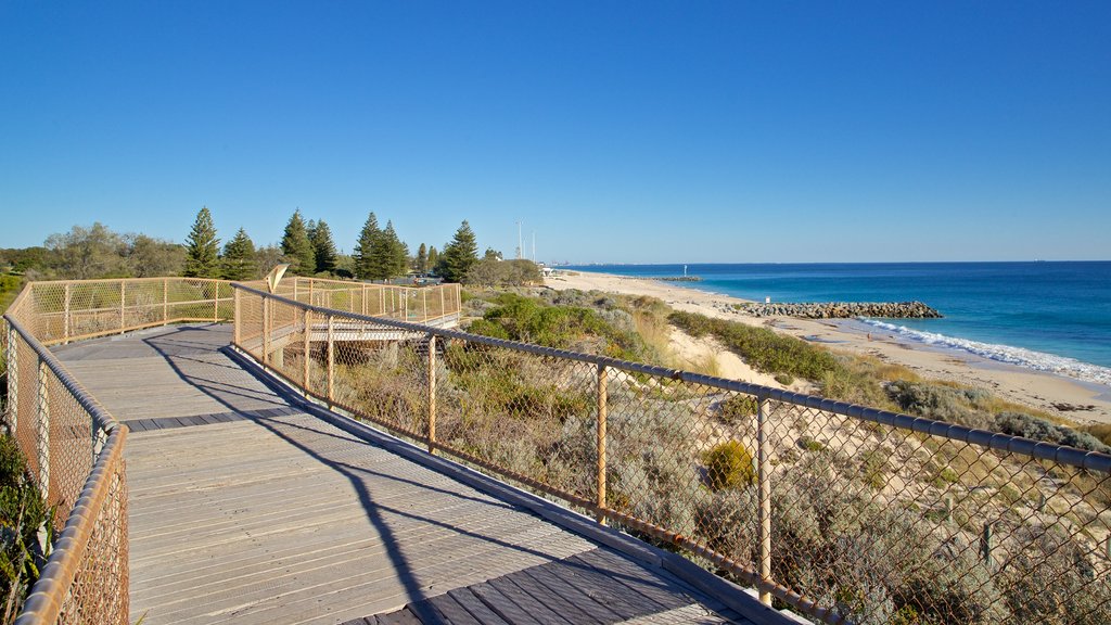 Floreat Beach which includes a beach and general coastal views