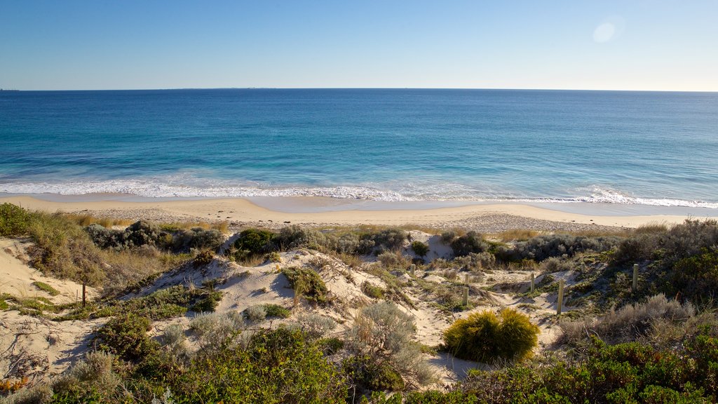 Floreat Beach que inclui uma praia de areia e paisagens litorâneas