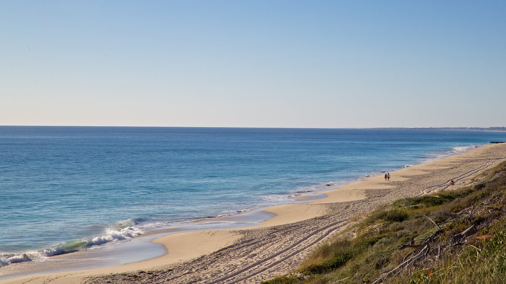 Floreat Beach which includes landscape views, a beach and general coastal views