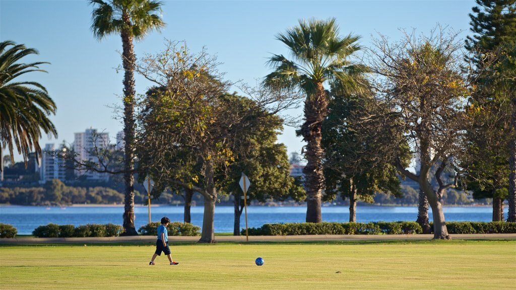 Langley Park showing a park as well as an individual child