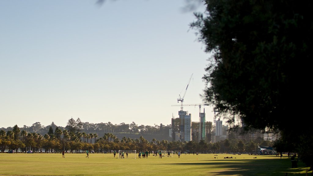 Langley Park mostrando un jardín y un evento deportivo y también un pequeño grupo de personas