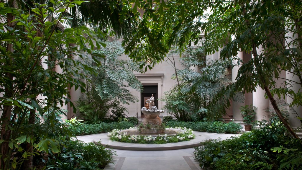 National Gallery of Art showing a park and wildflowers