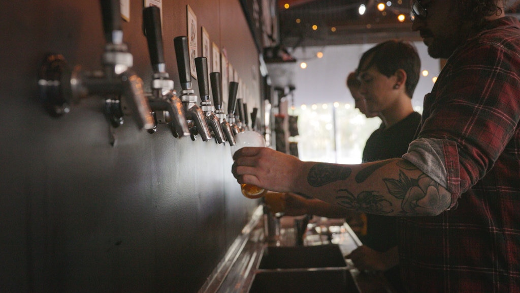 All Inn Brewing Co. bevat een bar en interieur en ook een klein groepje mensen