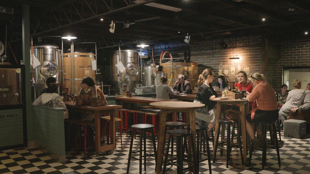 Brisbane Brewing Co. showing interior views, a bar and nightlife