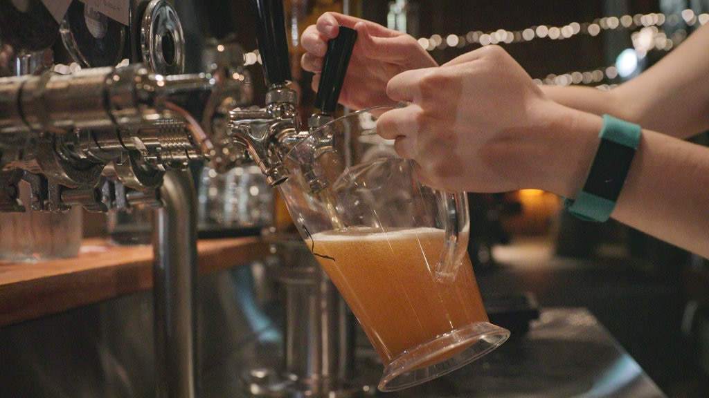 Cervecería Mountain Goat mostrando un bar y bebidas o tragos