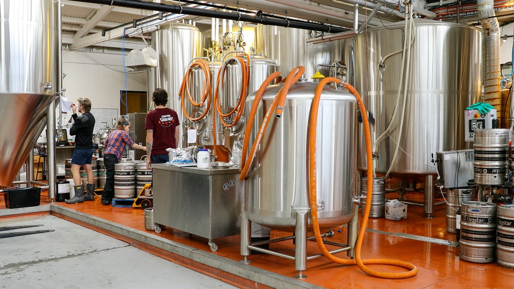 Stomping Ground Brewery showing interior views