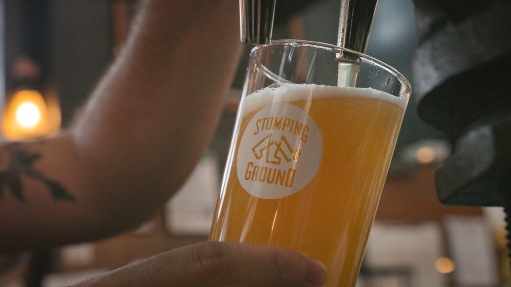 Stomping Ground Brewery featuring a bar and drinks or beverages