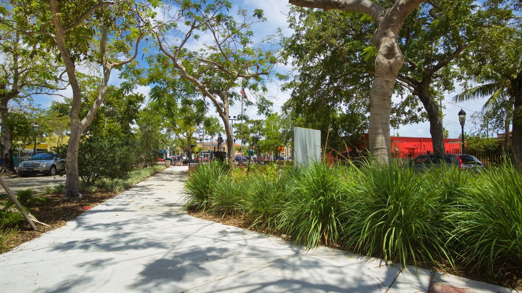 Cuban Memorial Boulevard ofreciendo un parque