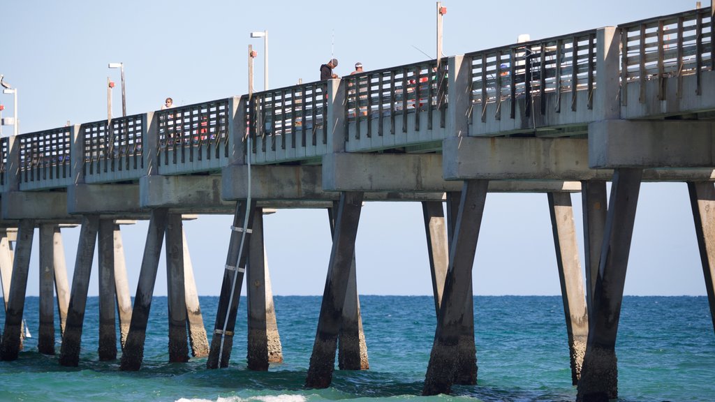 Dania Beach showing general coastal views