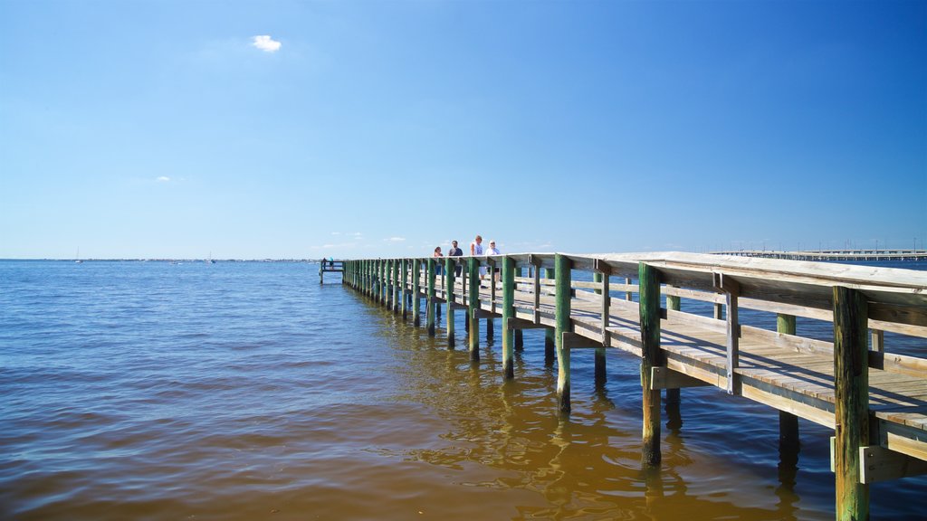 Punta Gorda showing general coastal views