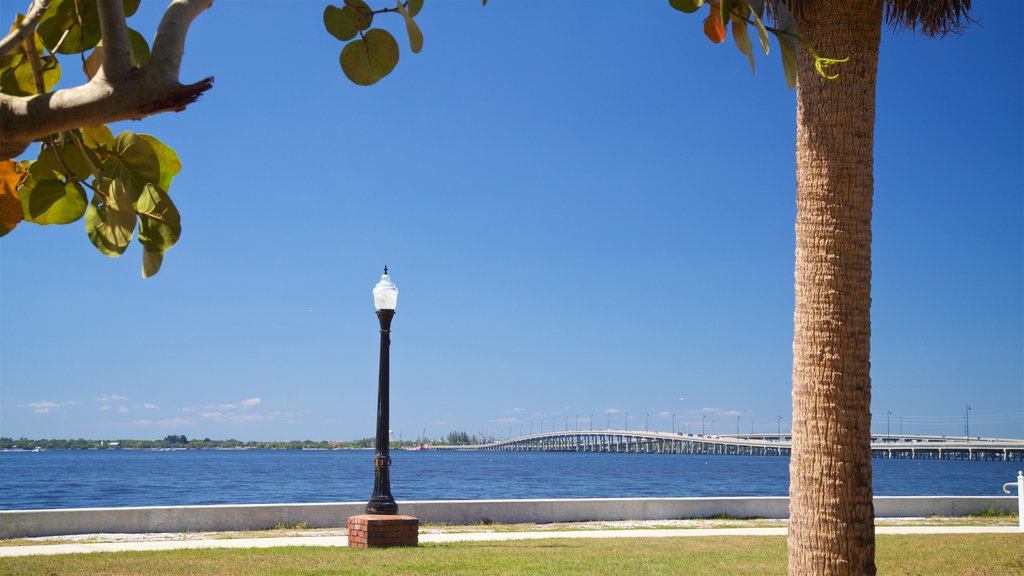 Punta Gorda mostrando vistas generales de la costa y un jardín