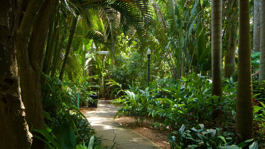 Sunken Gardens ofreciendo jardín