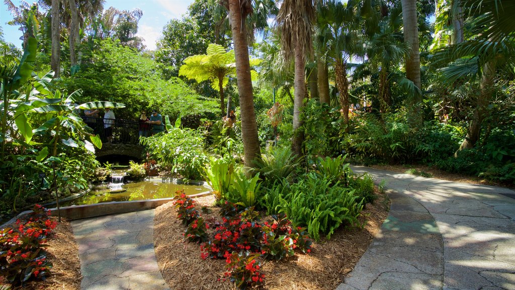 Sunken Gardens som visar en trädgård och blommor