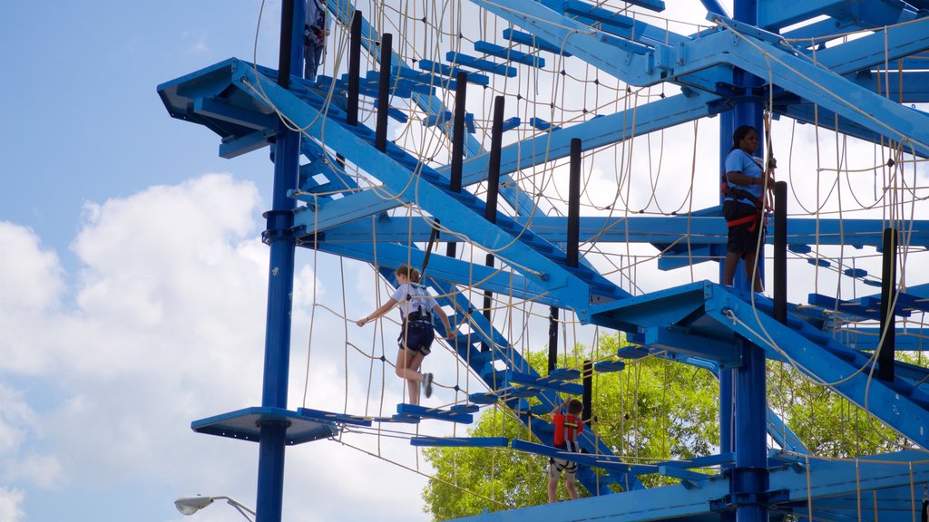 Museum of Science and Industry featuring a suspension bridge or treetop walkway as well as an individual female