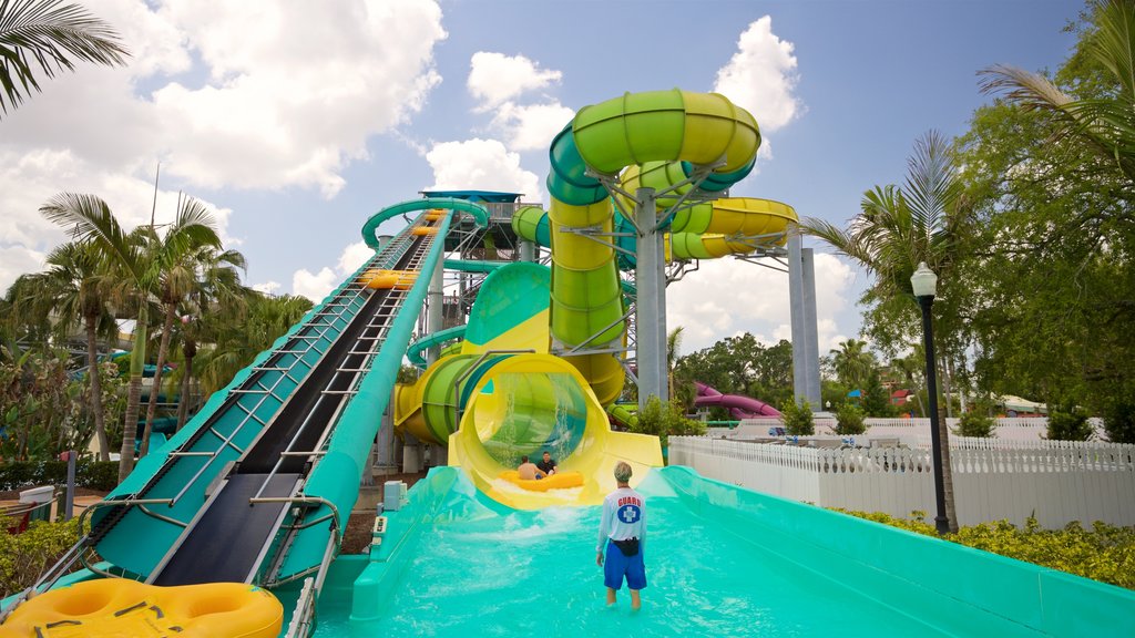 Adventure Island showing a waterpark