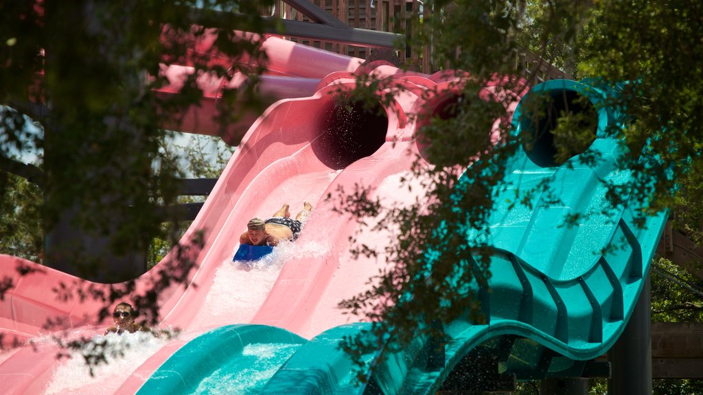 Adventure Island mostrando um parque aquático assim como um homem sozinho