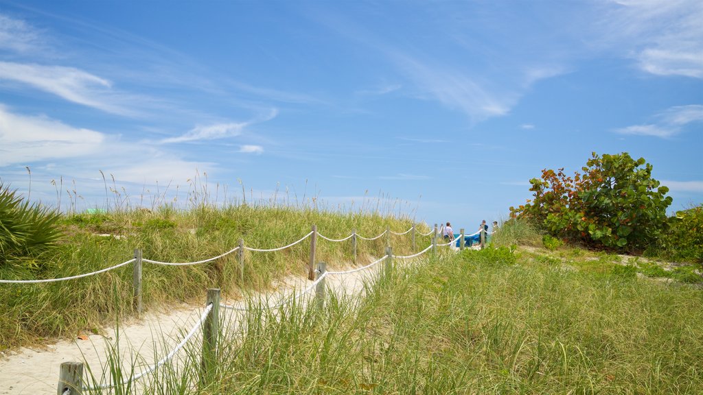 Lummus Park Beach joka esittää ranta