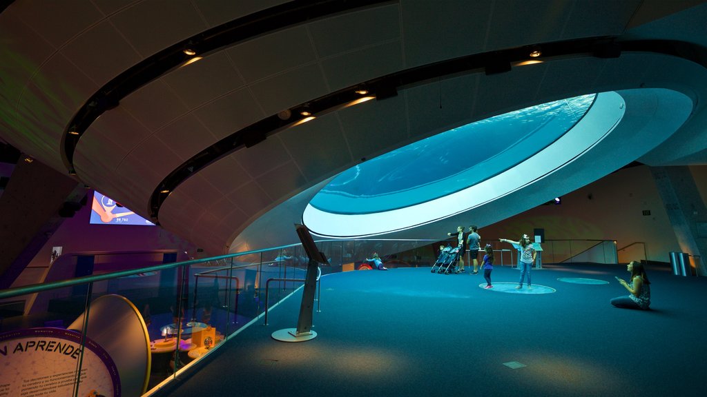 Phillip and Patricia Frost Museum of Science showing marine life and interior views as well as a small group of people