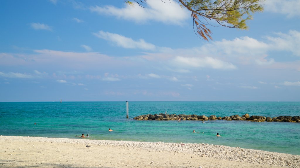 Parque histórico estatal Fort Zachary Taylor que incluye una playa y vista general a la costa