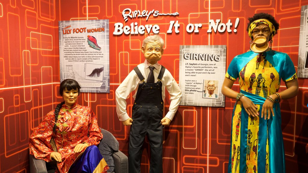 Ripley\'s Believe It or Not menampilkan pemandangan interior