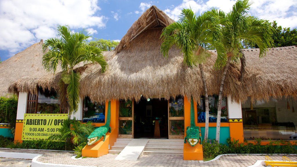 Dierentuin Crococun