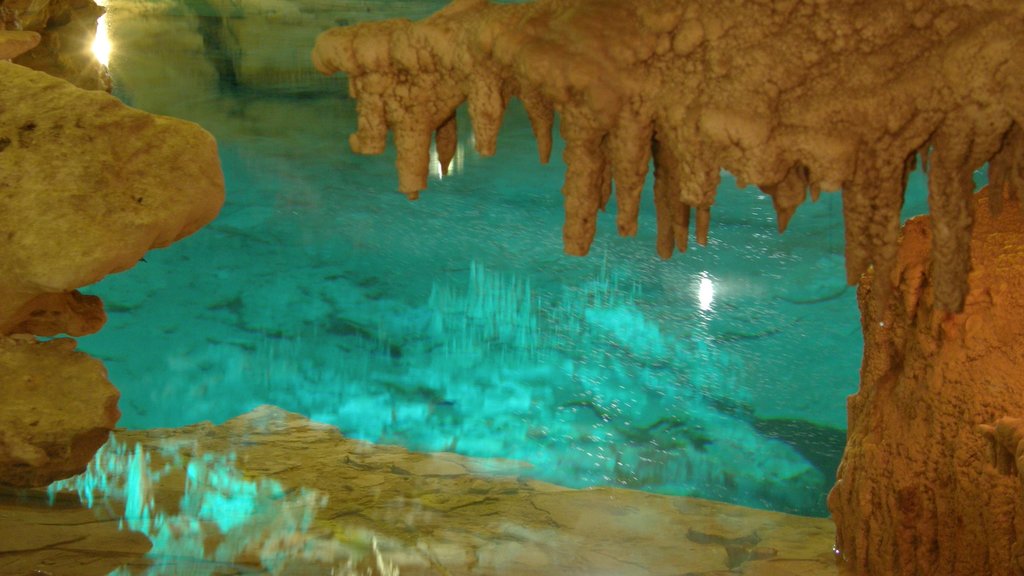 Ecopark Kantun Chi which includes caves, interior views and caving